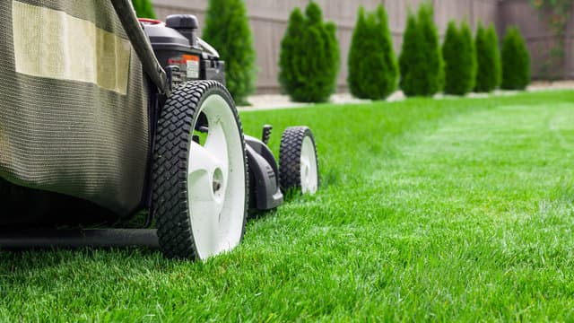 professional lawn care service Bay Area active mowing with eco-friendly equipment